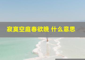 寂寞空庭春欲晚 什么意思